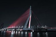 Rode Erasmusbrug Rotterdam, zuid-holland in de nacht van vedar cvetanovic thumbnail