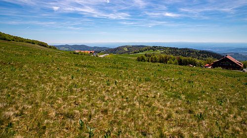 Vue de l'Alsace Belchen à Belfort