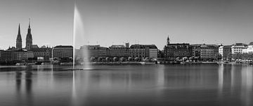 Panorama of Hamburg in black and white