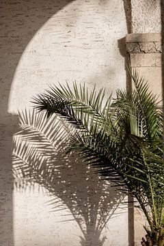 Gewölbtes Licht 2 von Mareike Böhmer