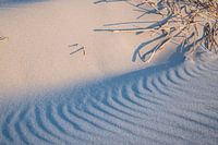 sand patterns