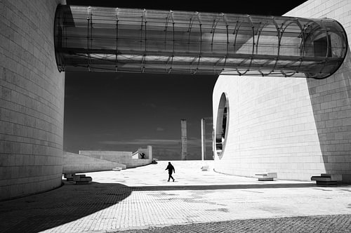 Between light and shadow, a quiet journey