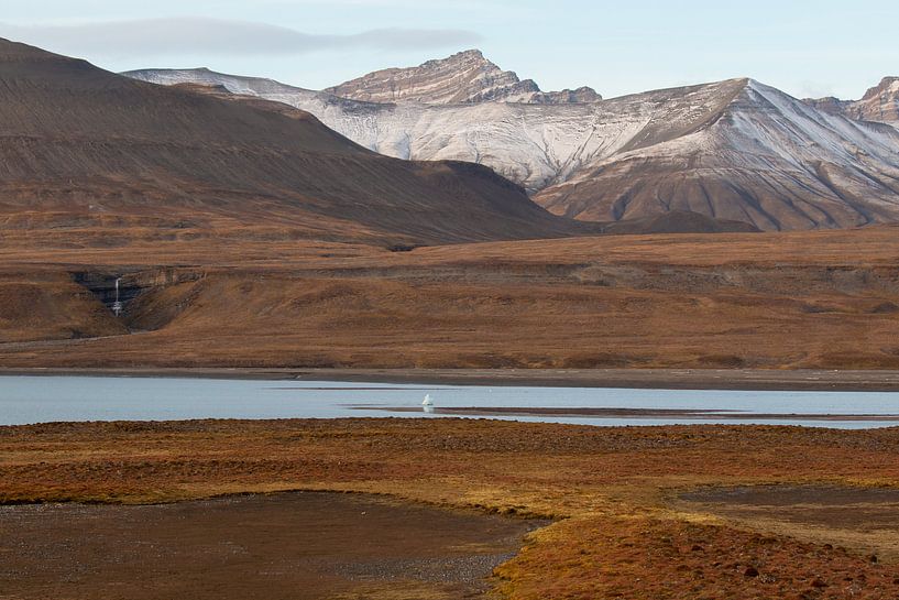 Landschap met waterval op Spitsbergen van Michèle Huge