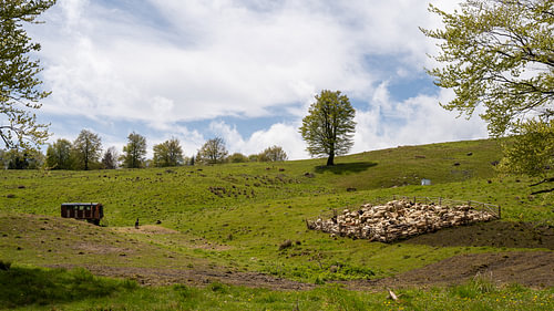 Pastures of the High Carpathians