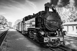 Ein Blick auf die Schmalspurbahn in Bertsdorf von Andreas Völkel