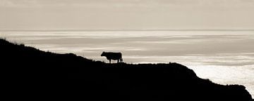 View van een koe. van Hennnie Keeris