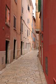 Kleurrijke stad van Nina Rotim