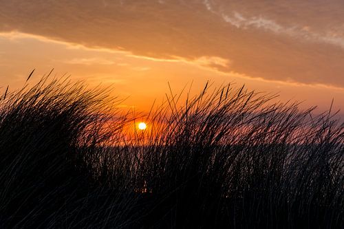 Sonnenuntergang auf Ameland