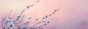 Blumenwiese