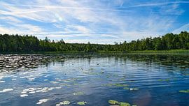 See in Schweden mit Seerosen, weißen Wolken, blaues Wasser und Bäumen am Ufer von Martin Köbsch