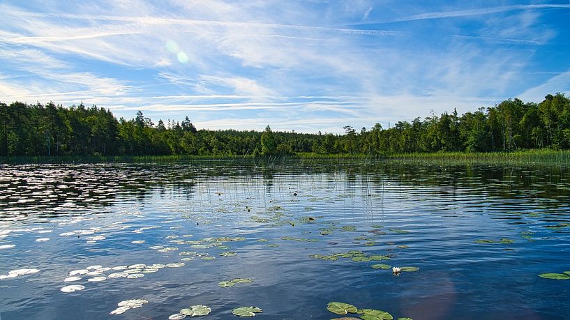 Lake in Sweden with water lilies, white clouds, blue water and trees on the shore by Martin Köbsch