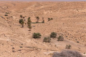 A piece of desert, Tunisia by Bernardine de Laat