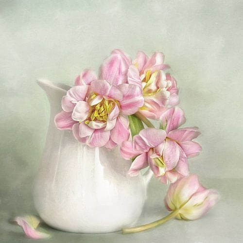 Histoire de tulipes #3