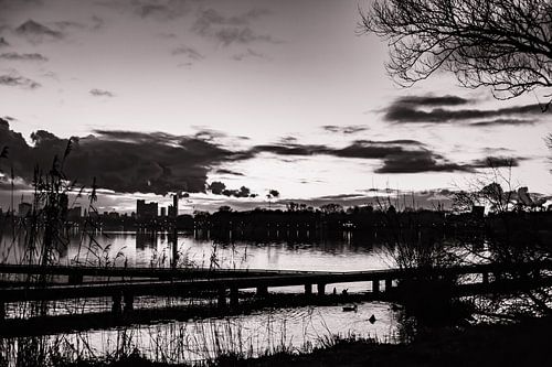 Wie eine tapfere Sommernacht im Winter nr. 1 (schwarz-weiß)