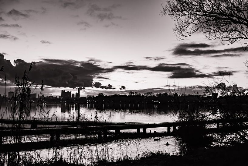 Like a Brave Summernight in Winter no. 1 (black and white) by Deborah de Meijer