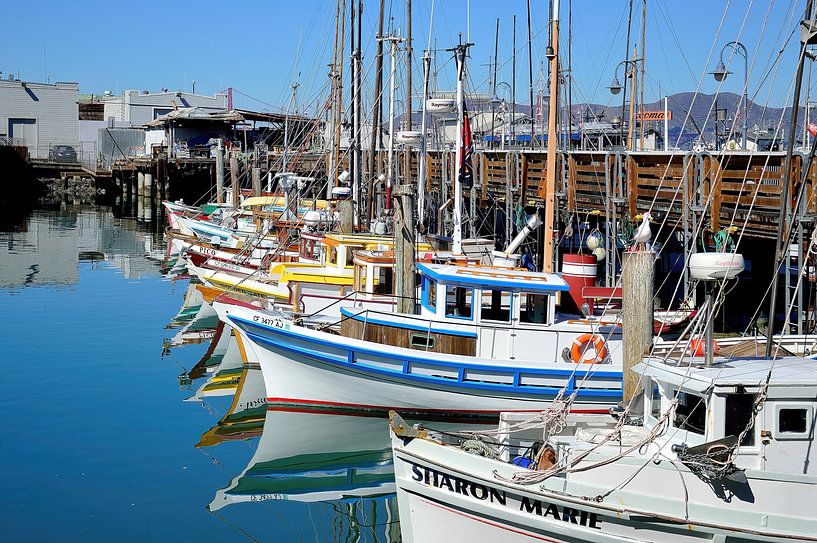 Sharon Marie and her friends by Frank's Awesome Travels