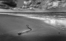 Untie The Knot by Ronald Massink