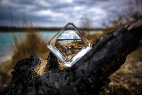 Abgebrannter Baumstamm