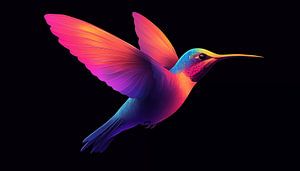 Colourful bird hummingbird panorama