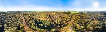 Kuinderbos in Herbstfarben, in 360° aus der Luft