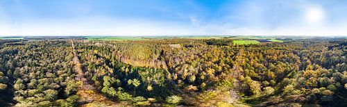 Kuinderbos in herfstkleuren, in 360° vanuit de lucht