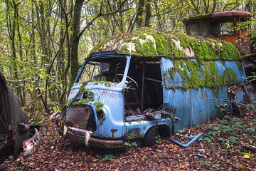 Van abandonné dans les bois.