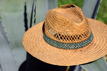 oude hoed van Ulrike Leone