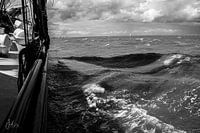 The Untamed Sea