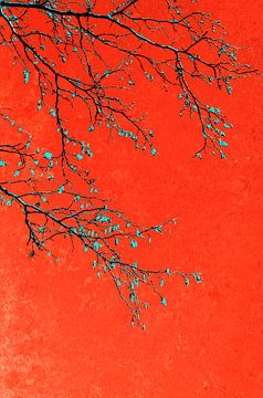 Branches en rouge sur Corinne Welp