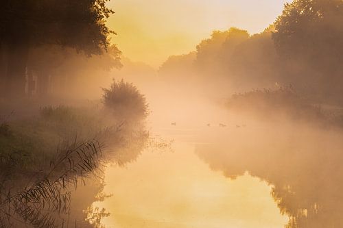 Fog over a canal in Drenthe