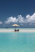 Lunch in Paradise (Turquoise Delight)