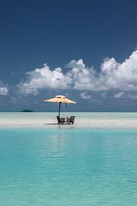 Turquoise Delight