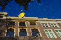 Geel blaadje drijvend op een waterplas met zichtbare reflectie van Amsterdamse grachtenpanden.|