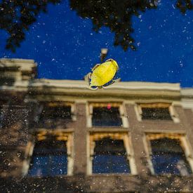 Geel blaadje drijvend op een waterplas met zichtbare reflectie van Amsterdamse grachtenpanden.| van hassan dibani