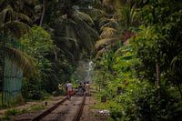 Die Zugstrecken in Sri Lankas Landschaft sind weltberühmt und super fotogen.