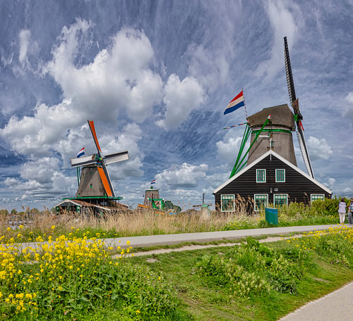 Molen De Zoeker en het Jonge Schaap, Zaandam, , Noord-Holland