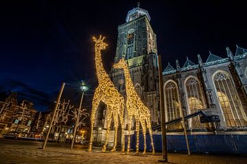Giraffen Lichtobject in Deventer bij Lebuïnuskerk