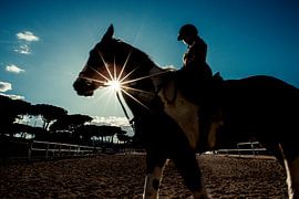 Ruiter en zon sur Tycho Müller