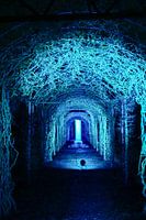 Schloss de Haar während der Luminous Nights