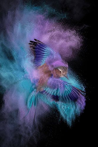 Celestial Wings – Explosieve Fine-Art Vogel in Amethist & Aqua Mist
