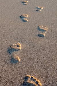 voetstappen in het zand van gaps photography
