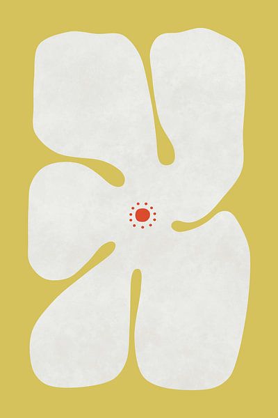 Fleur de pavot blanc par amini54 