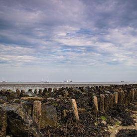 Wohnungen bei Vlieland von Lucas Planting