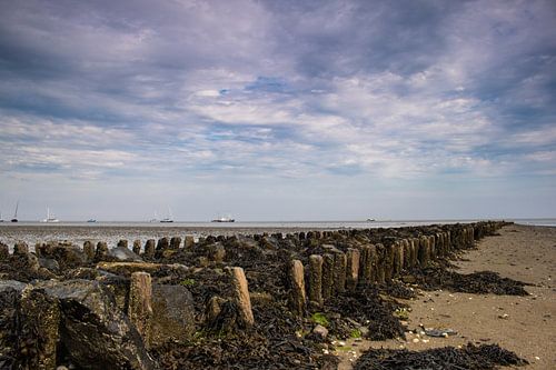 Flats near Vlieland