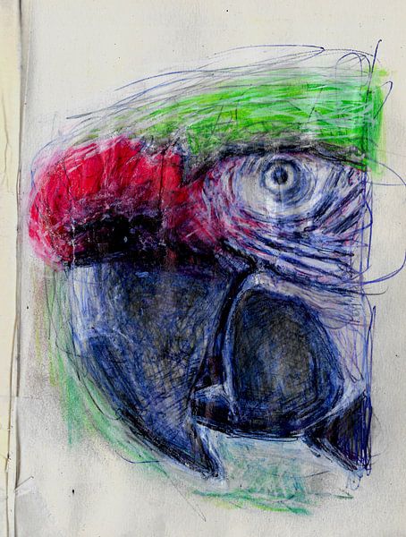PAPEGAAI von Vincent Jacobs