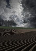 fake landscape