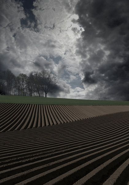 kunstmatig landschap van Henk Speksnijder