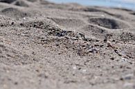 Sandstrand von GH Foto & Artdesign Miniaturansicht