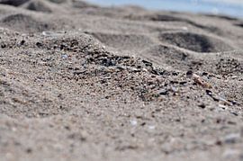 Sandy beach by GH Foto & Artdesign