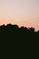 Oranje zonsondergang | Verona, Italië